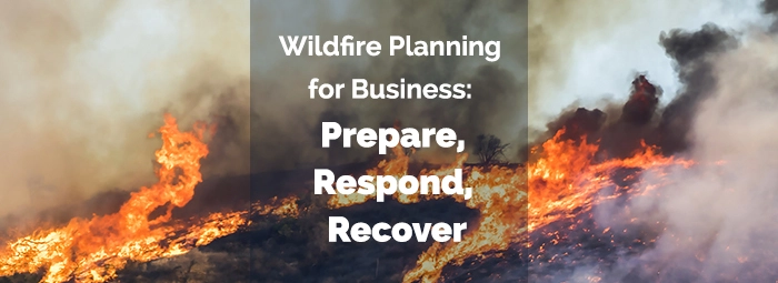 Wildfire Planning for Business: Prepare, Respond, Recover - Banner